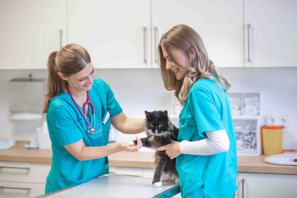 Liebevolle Behandlung Tierarztpraxis Witten Herbede