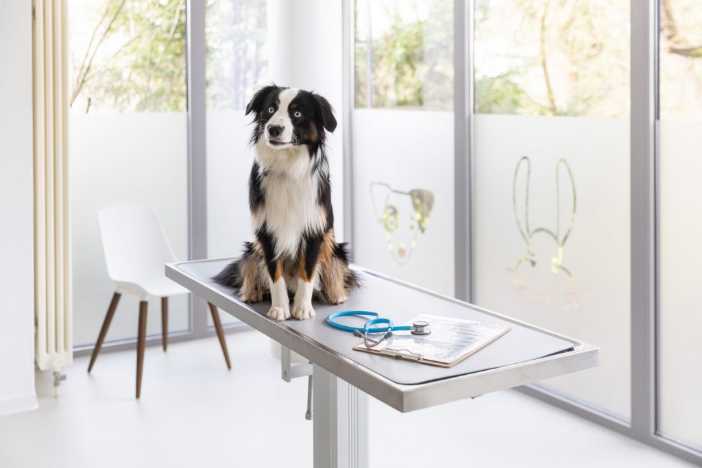 Tierarztpraxis Herbede