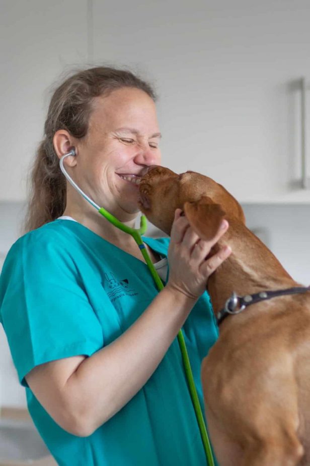 Tierarztpraxis Herbede in Witten